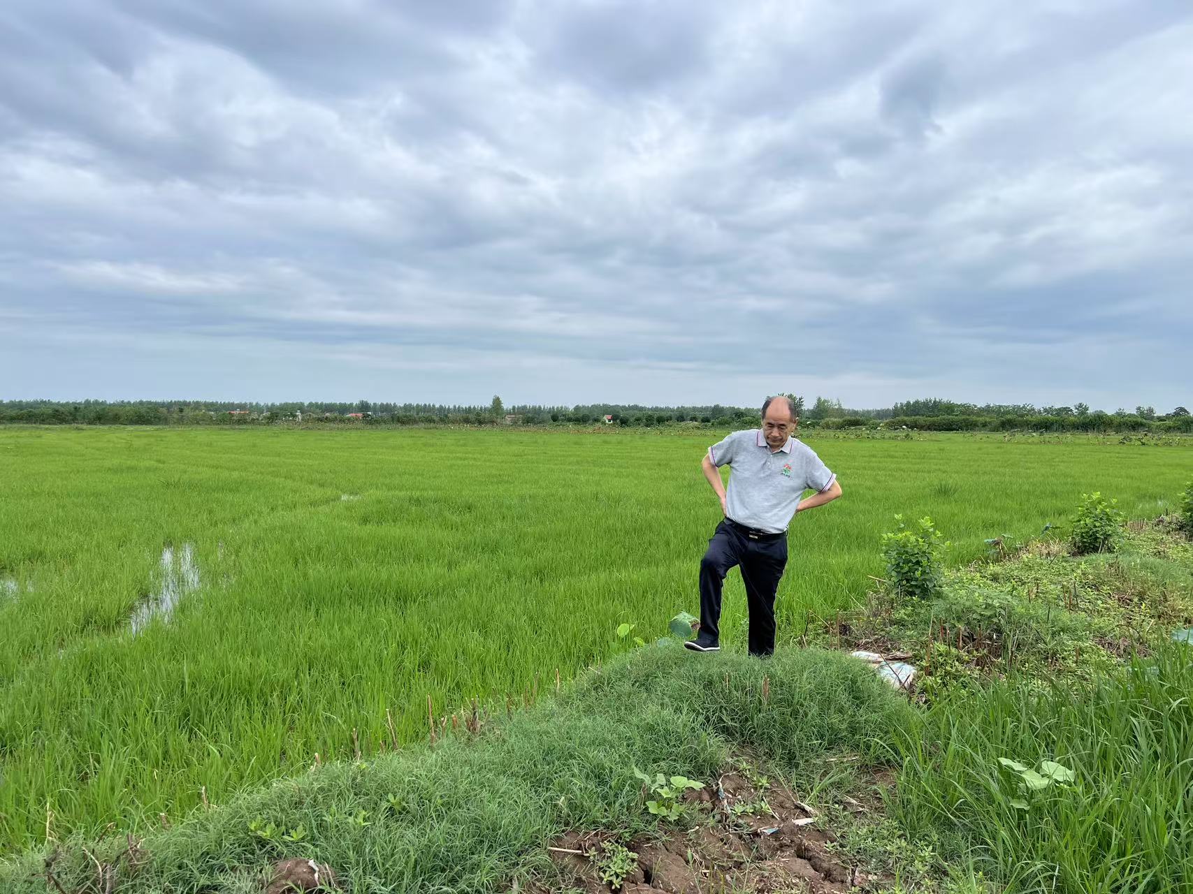 嘉鱼勤天农资有限公司