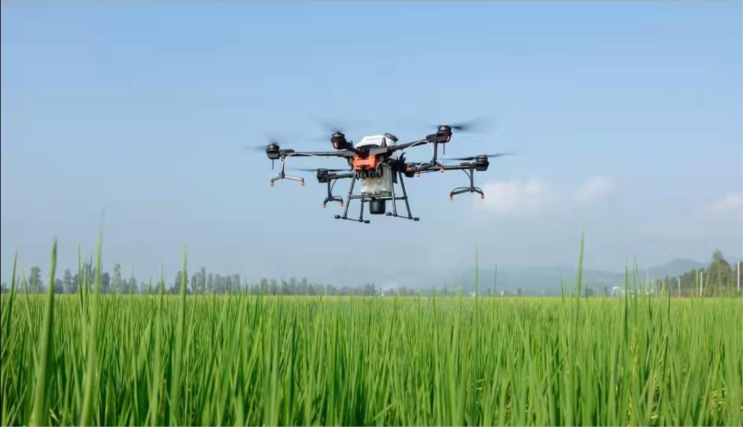 阳新县率洲管理区雷彬家庭农场