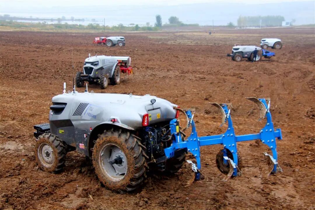 W020251215384885987669.jpg W020251215384885987669.jpg