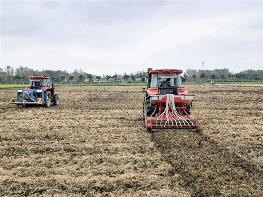 W020251215384888026815.jpg W020251215384888026815.jpg