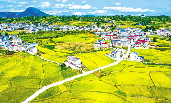 十大重点农业产业链综合产值过万亿元