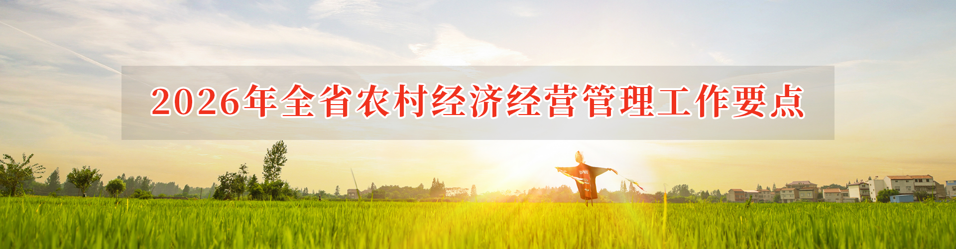 2026年省农村经济经营管理局工作要点